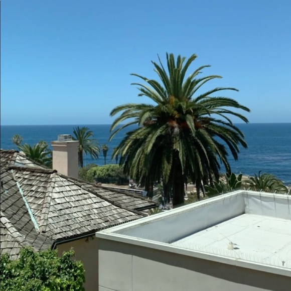 Meet your Posher, Haley - Picture 1 of 1